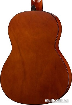 Акустическая гитара Naranda CG220-1/2