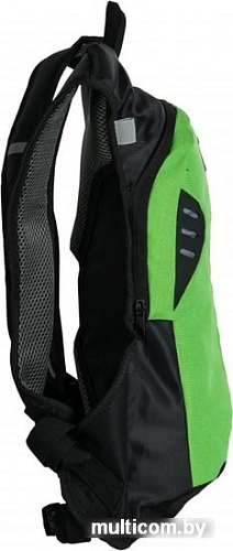 Рюкзак Paso 17-1608/R