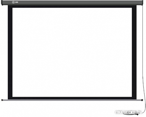 Проекционный экран CACTUS Professional Motoscreen CS-PSPM-149x265