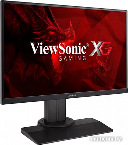 Монитор ViewSonic XG2405