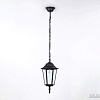 Уличный подвесной светильник Ambrella light Garden ST2029
