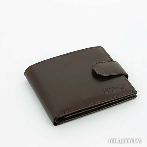 Кошелек S.Quire 5200-BR VT (коричневый)