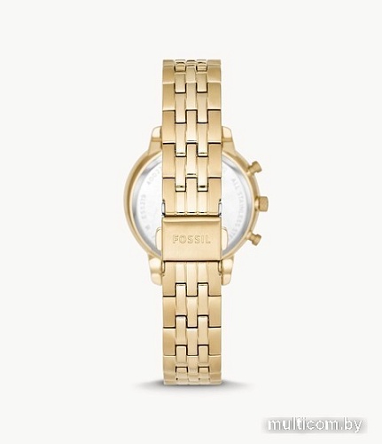 Наручные часы Fossil Neutra ES5219