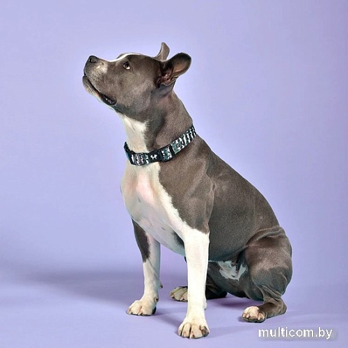 Ошейник United Pets Complete Me Collar (S, розовый камуфляж)