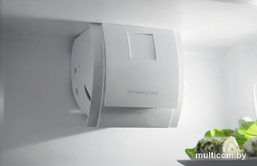 Холодильник Electrolux ENT6TF18S