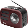 Радиоприемник Ritmix RPR-033 (шоколадный)