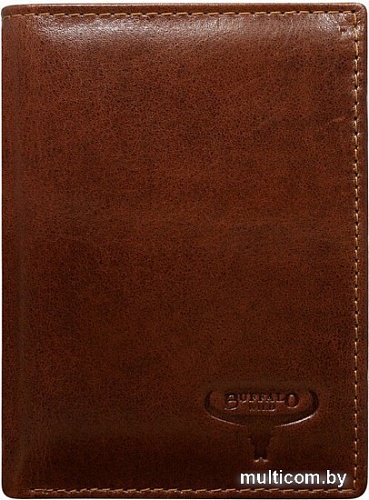 Портмоне Cedar Buffalo Wild N890-VTU (черный)