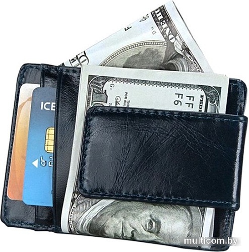 Зажим для денег EZcase Vukol (черный)