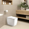 Унитаз приставной Cerutti Spa Maiella Pulse CT10196