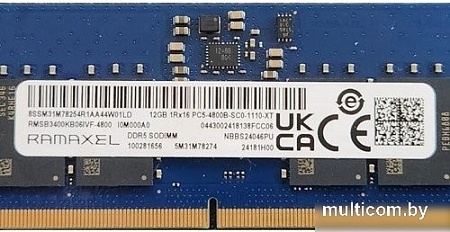 Оперативная память Ramaxel 12ГБ DDR5 SODIMM 4800 МГц RMSB3400KB06IVF-4800