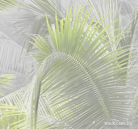 Фотообои Citydecor Знойные тропики 9 300x260