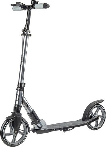 Двухколесный подростковый самокат Plank Lifestyle P22 (серебристый металлик)