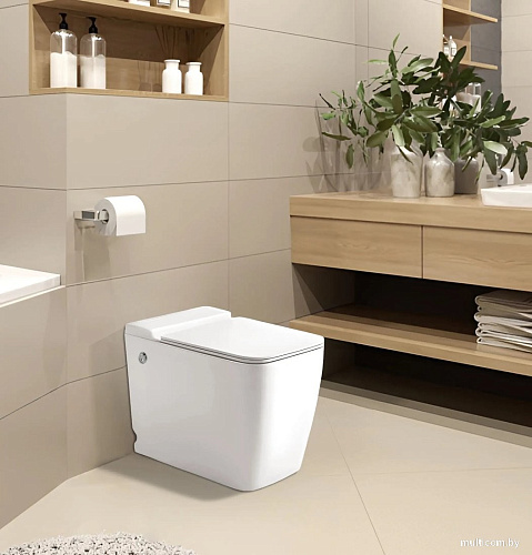 Унитаз приставной Cerutti Spa Maiella Pulse CT10196