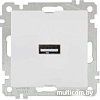 Розетка USB Mutlusan 2100 448 0101