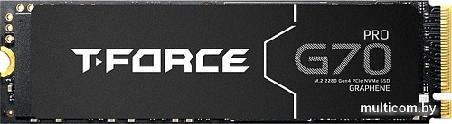 SSD Team G70 Pro 1TB TM8FFH001T0C128