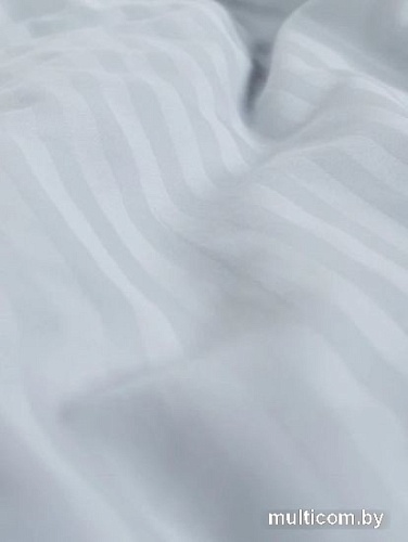 Постельное белье GoodNight Pure Страйп-сатин 1.5сп 417433 (серо-голубой)