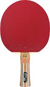 Ракетка для настольного тенниса Atemi Pro 5000 CV