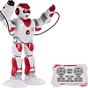 Интерактивная игрушка Le Neng Toys K2
