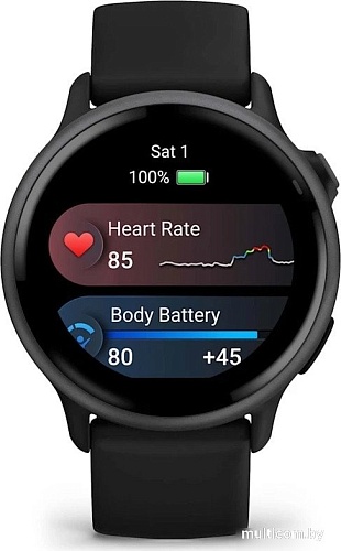 Умные часы Garmin Vivoactive 6 (черный)