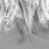 Фотообои Citydecor Пальмовые листья 550x270