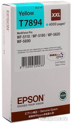 Картридж Epson C13T789440