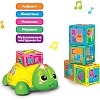 Интерактивная игрушка Азбукварик Азбука с Черепашкой 4630027292476 (зеленый)