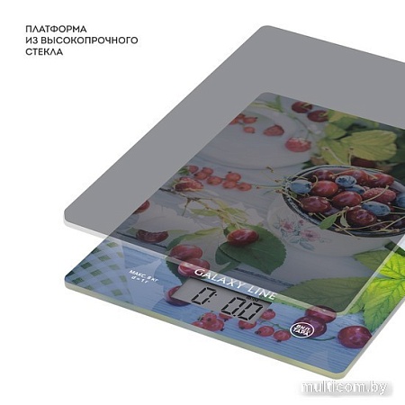 Кухонные весы Galaxy Line GL2818