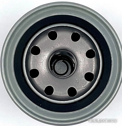 BIG Filter Spin-on GB-1059