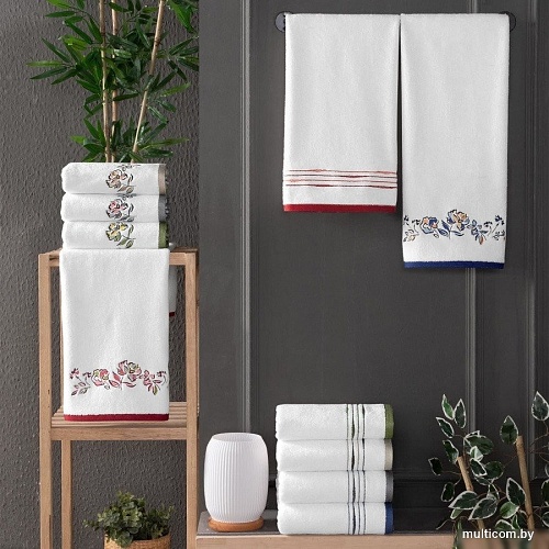 Sarev 30x50 H1049 NICO v2/Gri