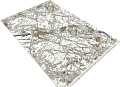 Ковер для жилой комнаты Radjab Carpet Валенсия прямоугольник s041A 10510RK 2x2.9 (cream/vizon)