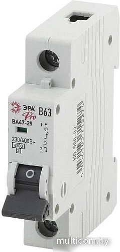 Выключатель автоматический ЭРА Pro NO-900-82 ВА47-29 Б0031788