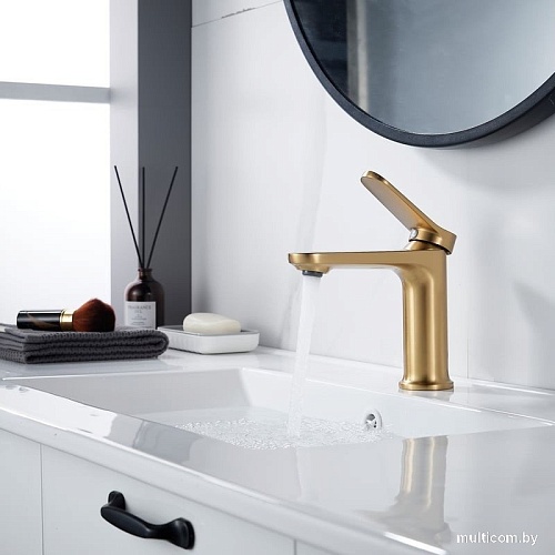 Смеситель Shevanik S4301G