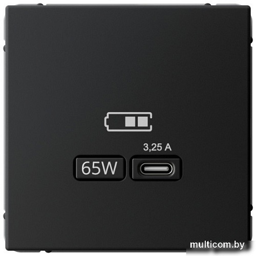 Розетка Type-C Systeme Electric ArtGallery GAL001027