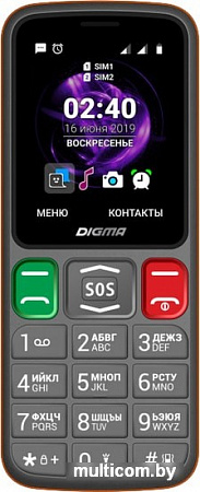 Мобильный телефон Digma Linx S240 (серый)