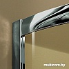 Душевой уголок Radaway Premium Plus C900 (30451-01-01N)