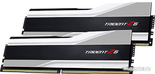 Оперативная память G.Skill Trident Z5 2x16GB DDR5 PC5-48000 F5-6000J4040F16GX2-TZ5RS