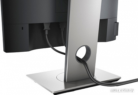 Монитор Dell P1917S
