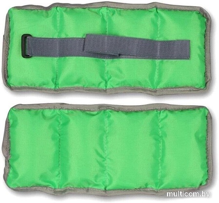 Комплект утяжелителей Indigo Классика SM-148 (2x0.5 кг, салатовый)