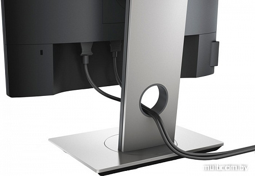 Монитор Dell P1917S