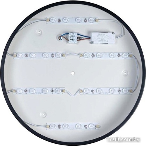 Люстра-тарелка LOFT IT Axel 10002/24 Black