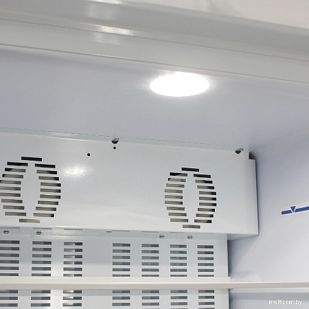 Торговый холодильник Бирюса B310PN