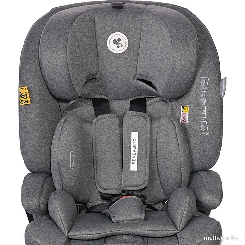 Детское автокресло Lorelli Benevento Isofix (Grey)