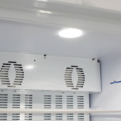 Торговый холодильник Бирюса B310PN