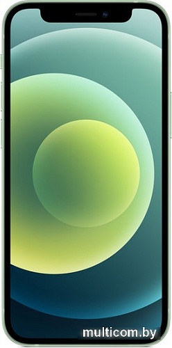 Смартфон Apple iPhone 12 mini 256GB Воcстановленный by Breezy, грейд A (зеленый)