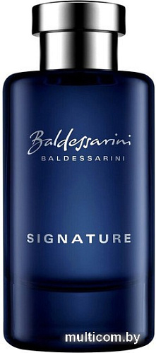 Туалетная вода Baldessarini Signature EdT (90 мл)