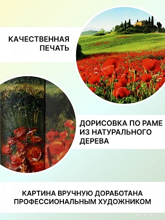 Картина Декарт 8Л3072
