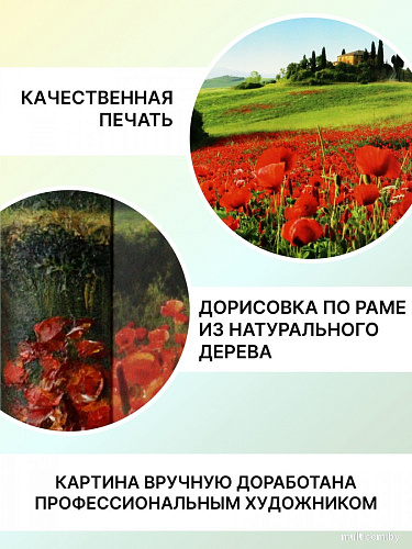 Картина Декарт 8Л3072