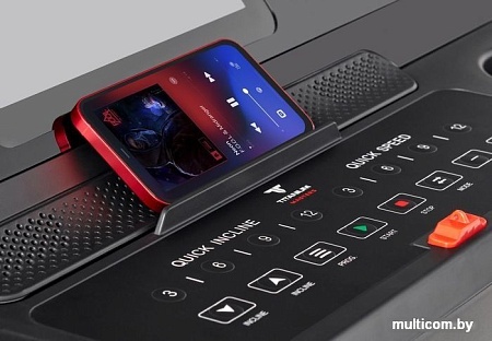 Электрическая беговая дорожка Titanium Masters Physiotech A460 TFT