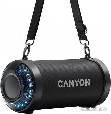 Беспроводная колонка Canyon CNE-CBTSP7