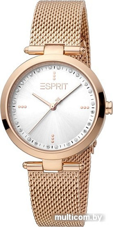 Наручные часы Esprit ES1L314M0125
